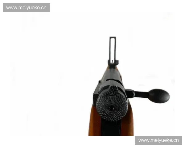 火枪装备的创新与变化探析如何提升英雄角色的战斗力和策略性